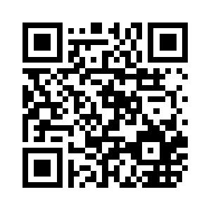 MS Project Kurs