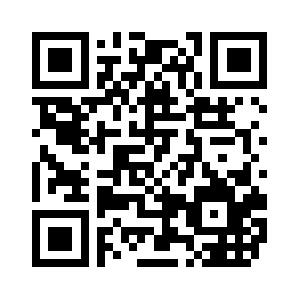 MS Vista Kurs
