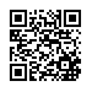 MS VBA Workshops