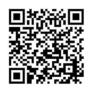Reporting Services Schulung