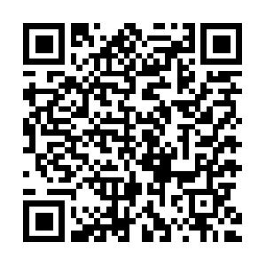 Active Directory: Best Practices und Troubleshooting Seminar
