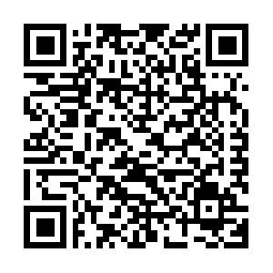 Active Directory: Migration nach Windows Server 2008 R2 Seminar