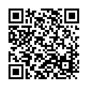 Asynchrone Programmierung und Remoting mit .NET Seminar