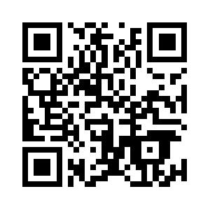 Adobe Flash - Einsatz im Web Seminar