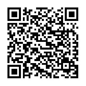 Transact SQL Einf�hrung - MS SQL Server Programmierung Seminar