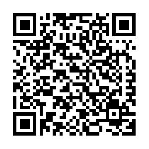 Microsoft CRM 4.0 in der Praxis f�r Anwender, Architekten und Entscheider Seminar
