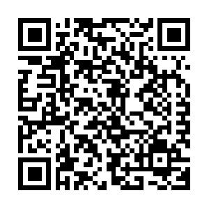 Mobile Apps entwickeln f�r Google Android, Apple iOS und Blackberry Tablet OS mit Adobe Flex und FlashBuilder Seminar