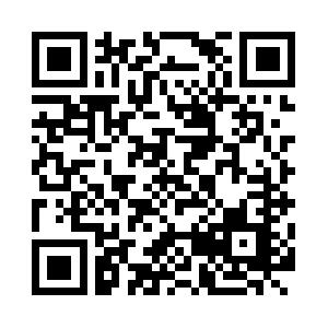 .NET Einf�hrung f�r Programmierer-Anf�nger Seminar