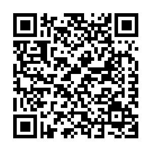 Projektmanagement mit MS-Project� Seminar