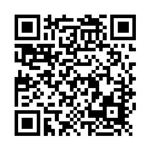 VB.NET f�r Programmieranf�nger Seminar
