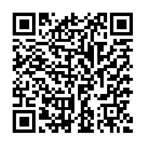 Webseiten Optimierung Usability Seminar