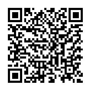 Acrobat PDF Schulung