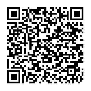 Rich Media Applications mit PHP, Flash, JavaScript und XML Schulung