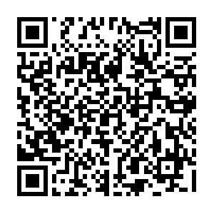Drupal Open Source CMS - Professioneller Einstieg in das Content-Management-System Schulung