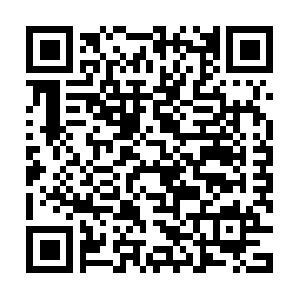 Web Content Management Systeme (CMS) Schulung