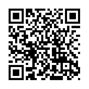 .NET Einf�hrung f�r Programmierer-Anf�nger Schulung