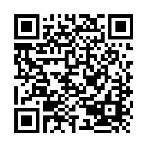 .NET im �berblick Schulung