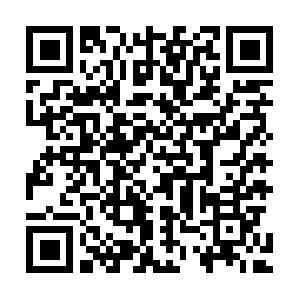 Mobile - Compact Framework Schulung