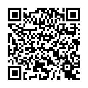 Silverlight - Anwendungsentwicklung Schulung