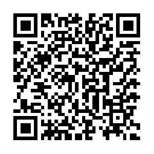 VB.NET 2008 f�r Visual Basic Programmierer Schulung