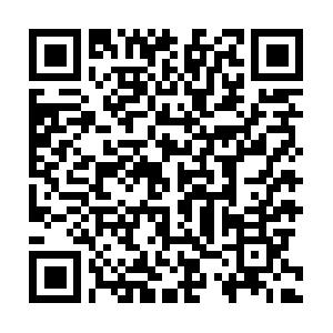 VB.NET 2010 f�r Visual Basic Programmierer Schulung