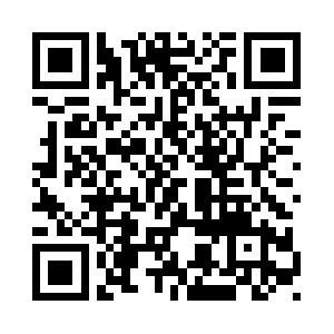 ASP - Mit Visual Basic ins Internet Schulung