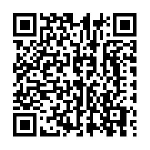 Webanwendungen mit Servlets, JSP und Struts Schulung