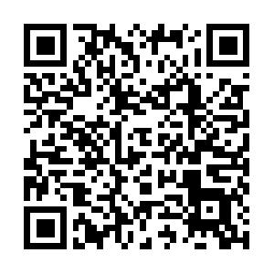 Webseiten Optimierung Usability Schulung