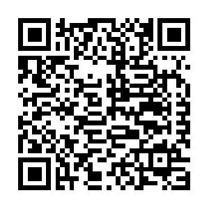 HTML 4, XHTML, HTML5 und CSS2, CSS3 Schulung