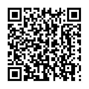 Spring und Datenbanken Schulung