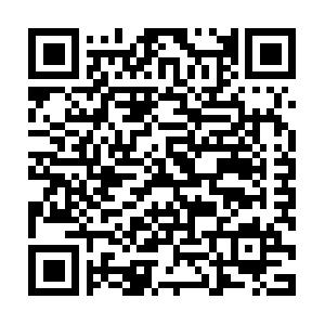 MindManager - NotesLinker™ (Anwender) Schulung