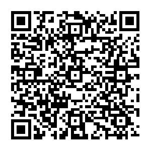 Apps-Entwicklung f�r iPhone, Android und Co. - Professionelle Applikationen f�r WebKit-Browser mit HTML, CSS und JavaScript Schulung