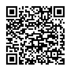 Mobile L�sungen und Programmierung Schulungen