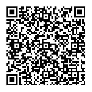 Anwendungsentwicklung f�r Office 2007 mit Visual Studio 2008 Schulung