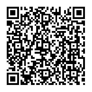 Microsoft Office SharePoint Server 2007 f�r Entwickler - Aufbau Schulung