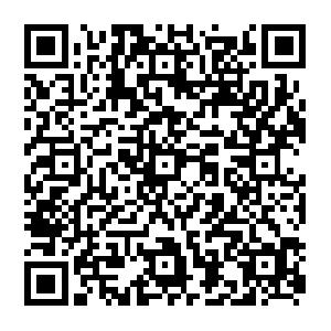 Microsoft Office SharePoint Server 2007 f�r Entwickler - Kompakt Schulung