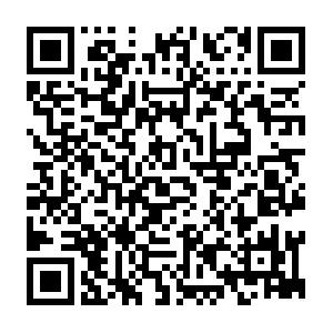 Microsoft Office SharePoint Server 2007 f�r Entwickler - Einstieg Schulung
