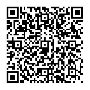 Microsoft Office SharePoint Server 2010 f�r Administratoren Schulung