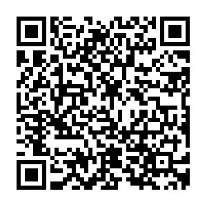 Microsoft Office SharePoint Server 2010 f�r Anwender Schulung