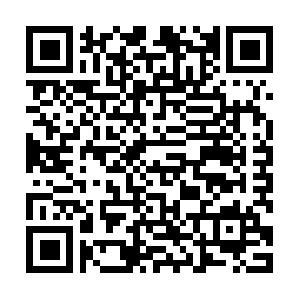 Einf�hrung in Office Open XML Schulung