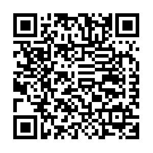 Access 2003, Programmierung mit VBA Schulung