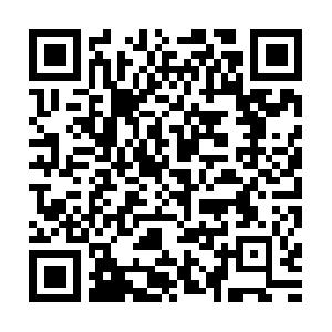 VBA f�r Visio� Schulung