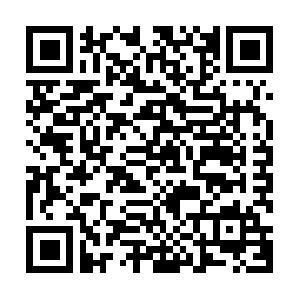 Visual Basic 6.0 f�r Programmierer-Anf�nger Schulung
