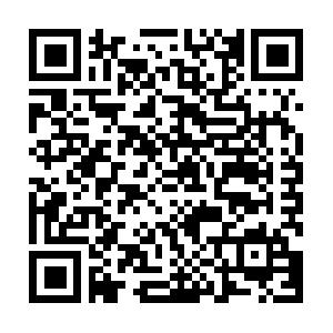 Web Server-Programmierung mit Visual Basic 6.0 Schulung