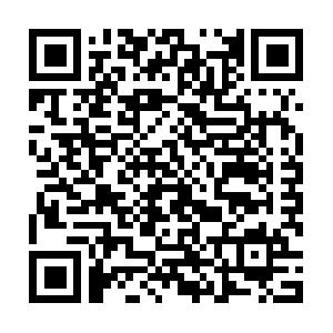 Controlling mit Excel, Access, MS-Project und XML Schulung