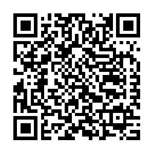 Projektmanagement Aufbau Schulung