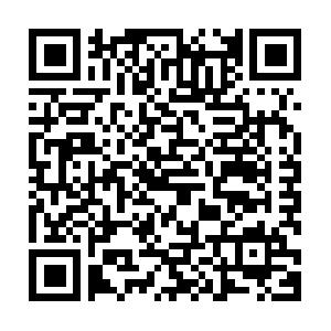 Plone - Erstellung von Formularen und Artikeltypen Schulung