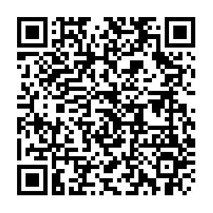 SAP NetWeaver - Test Management mit eCATT Schulung