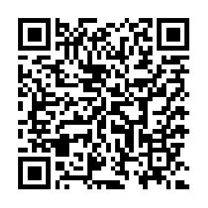 SAP NetWeaver - �berblick Schulung