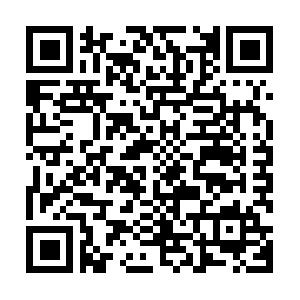 BizTalk Einf�hrung f�r Entwickler Schulung